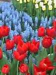 070404-1.jpg