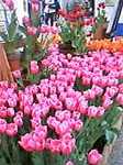 070404-2.jpg