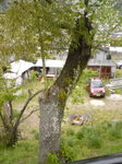 070413_kintaikyo.jpg