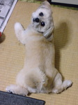 070414_rin.jpg
