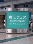 070728_1.jpg