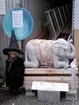 071013_zou.jpg