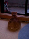 080226.jpg