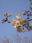 090330_1550~0002.jpg