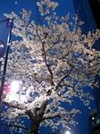 090404_1820~0001.jpg