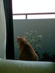 090519_1852~0001.jpg
