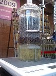 091103_3.jpg