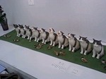 091202_1.jpg