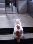 091202_5.jpg