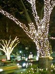 091210_1832~0001.jpg
