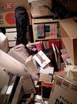 110313_2.jpg