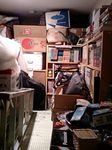 110313_3.jpg