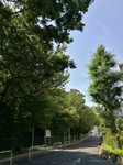 IMG_20170715_134215.jpg