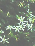 TS3Y0102.jpg