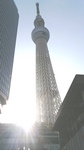 TS3Y0314.jpg