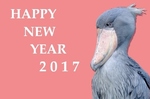 nenga2017.jpg